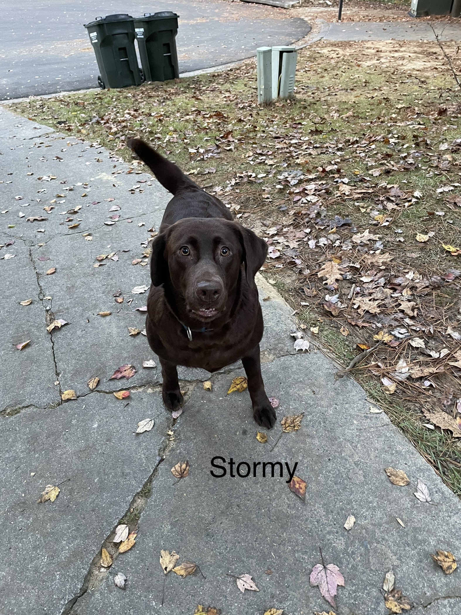 Stormy