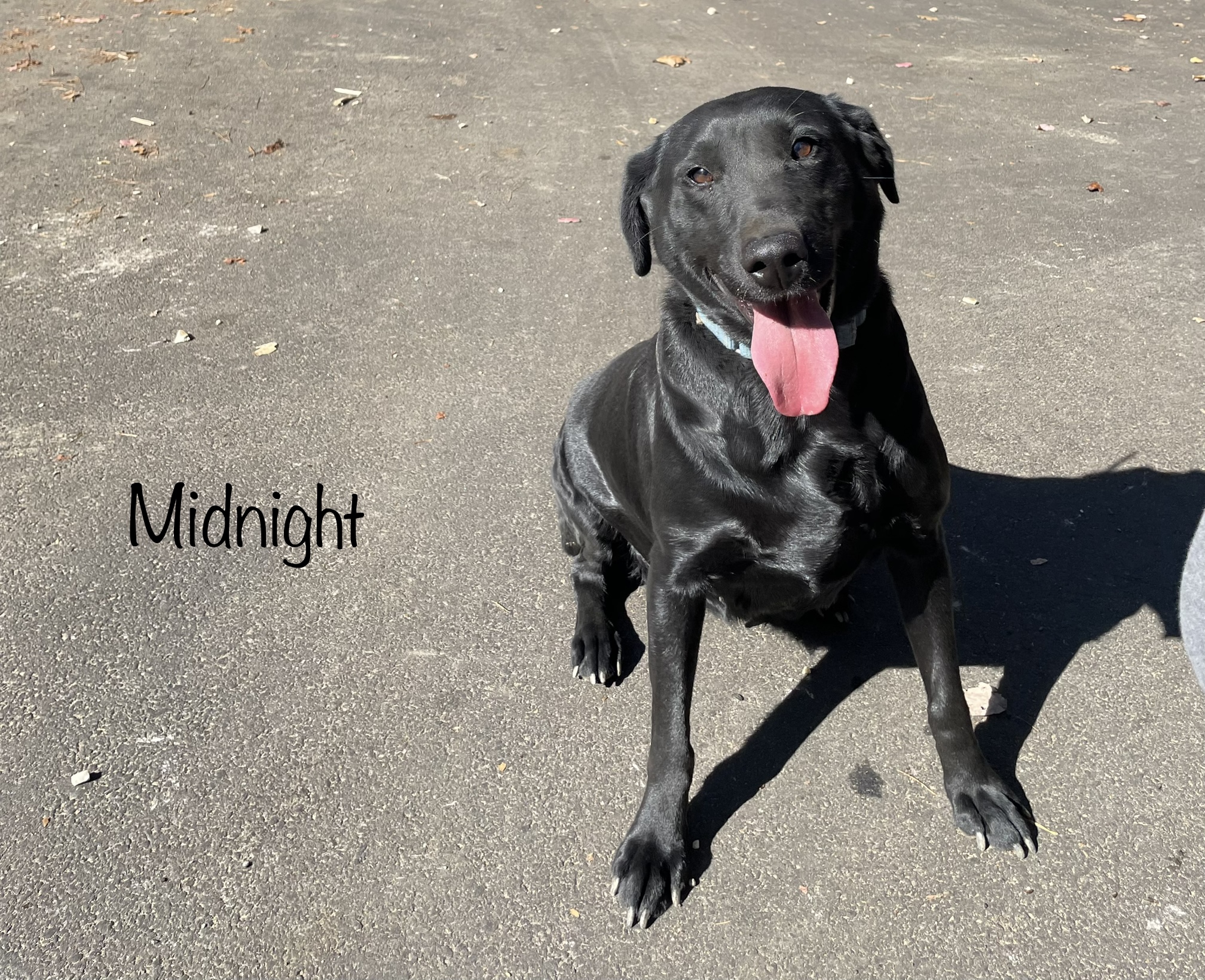 Midnight