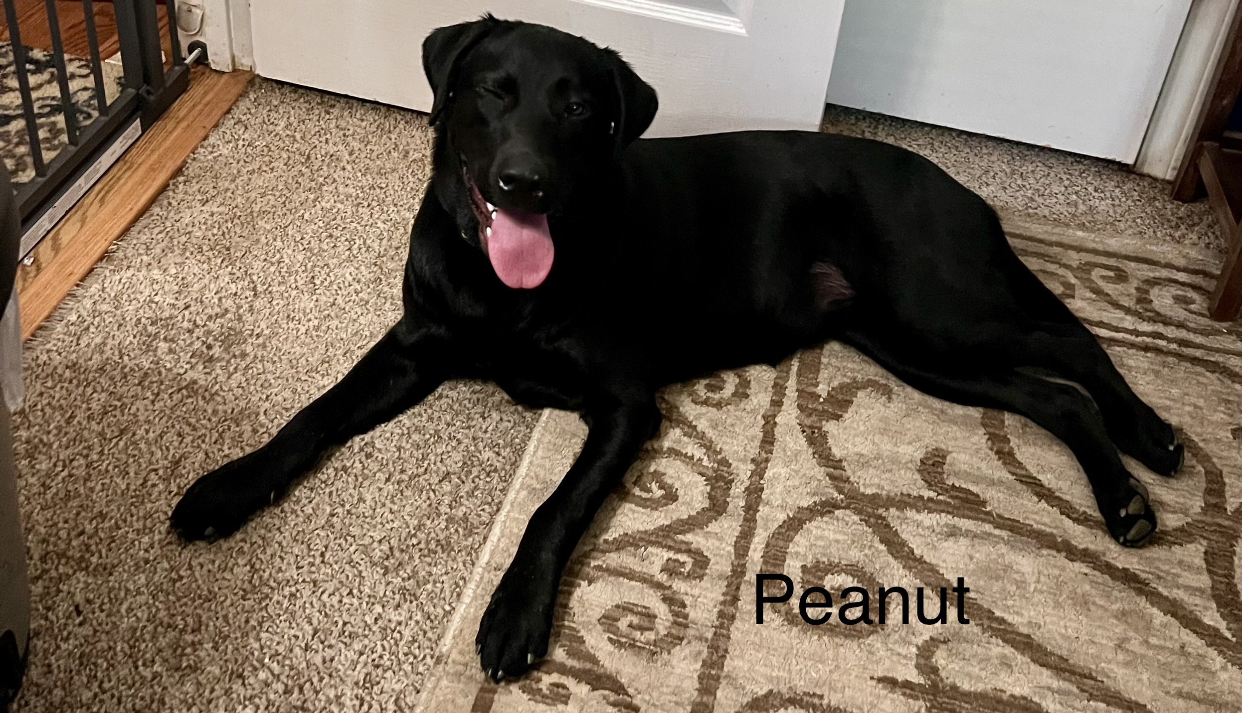 Peanut